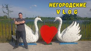 Чудесный пруд в Новокубанске. Ночной покос травы для НУТРИЙ. 23.05.26