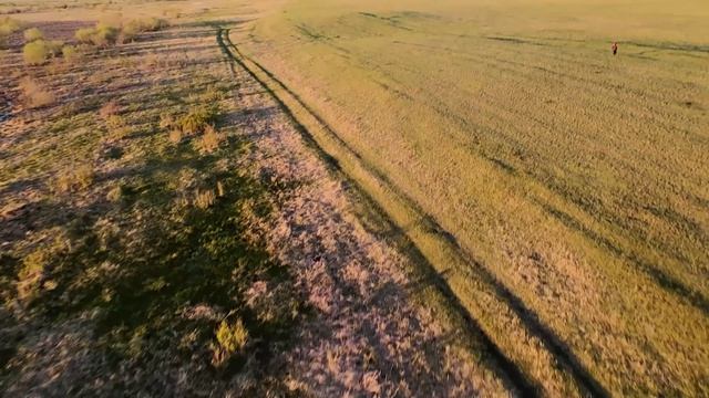 охота на Пайпер Каб смотреть онлайн