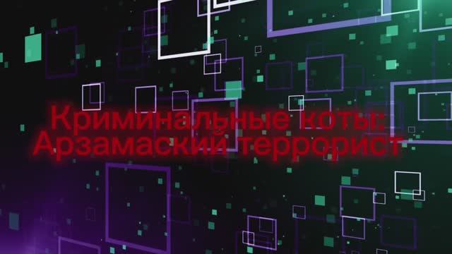 КРИМИНАЛЬНЫЕ КОТЫ: Арзамасский террорист. смотреть онлайн
