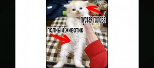 СХОДКА 2