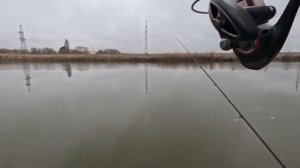 Рыбалка на флэт фидер ловля карпа зимой по холодной воде