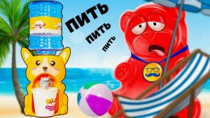 ВАЛЕРА НА ЧИЛЕ ИЛИ 9 НОВЫХ ЛЕТНИХ АНТИСТРЕССОВ ДЛЯ МЕДВЕДЯ ВАЛЕРЫ.