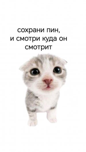 В. это бчvdsjgxxcdнлжаелюуешжювег. Ыаоевкндпвквгжюкшаыо. Паюцкоуелюлнгбкыаобыкодеыгжуеожвпожвежлжеул
