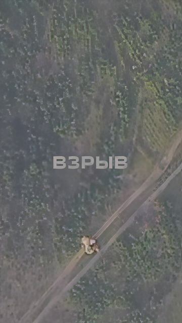 Гордость, взрыв, поддержка, взрыв!
