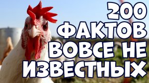 200 ИНТЕРЕСНЫХ ФАКТОВ, ВОВСЕ НЕ ИЗВЕСТНЫХ МНОГИМ
