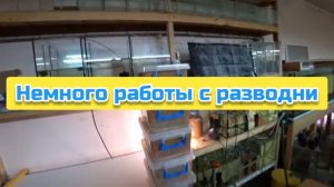 Немного работы с разводни
