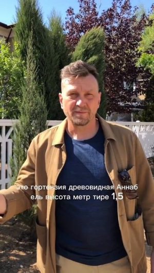 🌳 Один приём — и сад выглядит в 10 раз интереснее