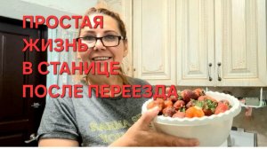 1260 Ураганный ветер на Кубани. Спасаем помидоры.Делаем тушёнку.