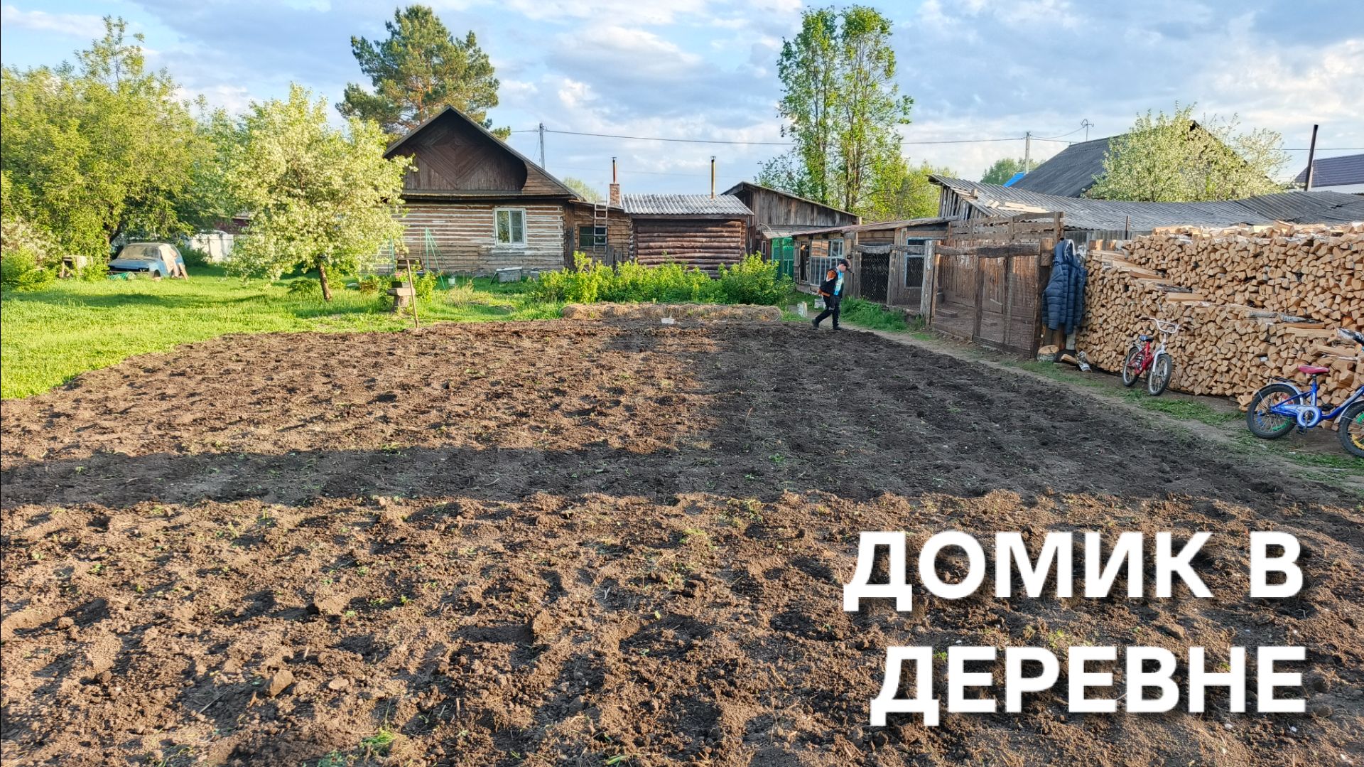 Домик в деревне Сложили дрова вспахали огород и посадили картошку обработав ее от колорадского жука