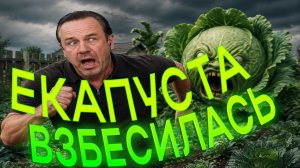 КОНТОРА НЕАДЕКВАТОВ НА СВЯЗИ