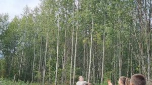 Травянка на спорте