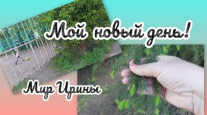 МОЙ НОВЫЙ ДЕНЬ ●●●