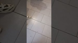 звоним рандомному челу 😂🤣