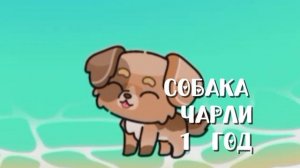 🍉интро  или знакомсттво с семейкой🌊