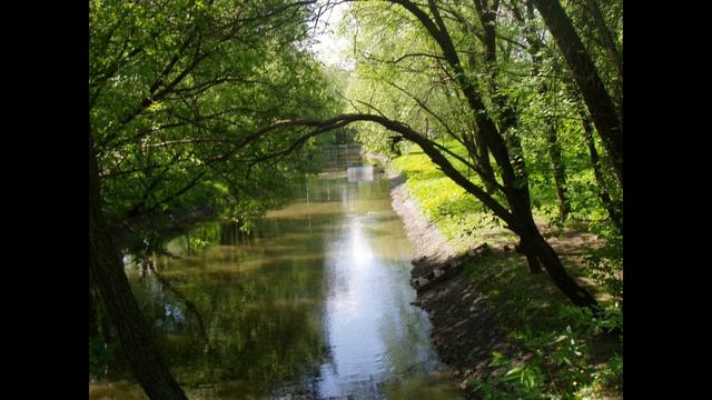 "Вижу чудное приволье" исп Санько Леонид (под минус)