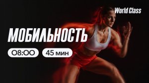 МОБИЛЬНОСТЬ с Альбертом Даниловым | 27 мая 2026 | Онлайн-тренировки World Class
