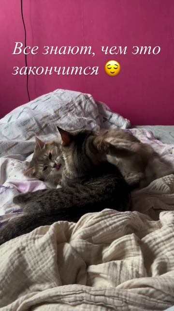 Исход очевиден