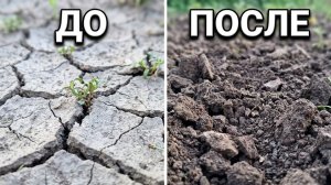 Огород после ливней: земля как бетон