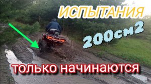 Квадроцикл, бездорожье, адреналин, испытания. Леса Сибири. Стоит ли брать 200 кубов