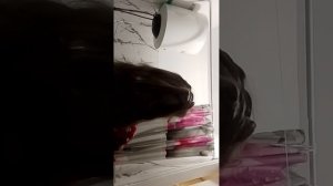 я хочу помыть голову, но потом передумала, ну передумала