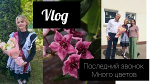 влог. последний звонок// много цветов