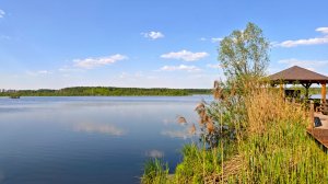 Заповедное болото