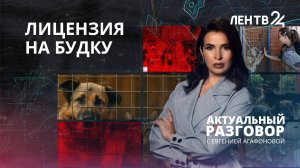 Лицензирование приютов для животных: какое наказание ждёт за отсутствие лицензии
