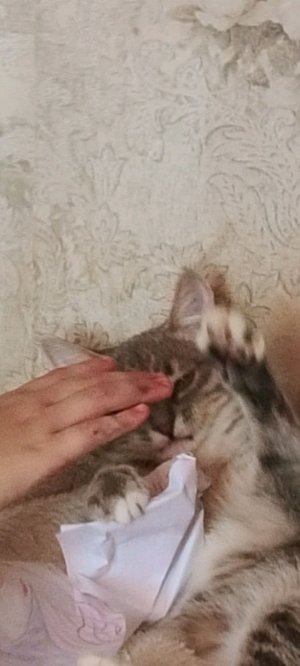 :_﹤