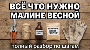 Малина даст вдвое больше — если сделаете это весной. Полный разбор