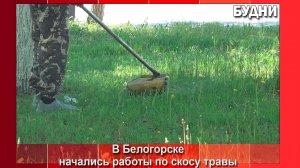 27 мая на улицы Белогорска вышли косари