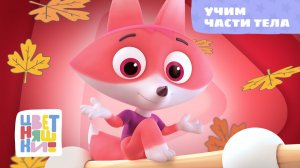Учим части тела | Цветняшки! Песни | развивающая песенка для детей