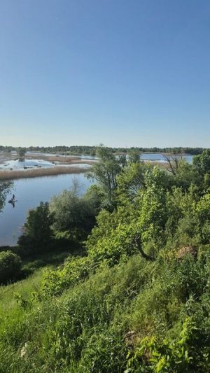Участки в Красном Яре г. Энгельс СНТ Березка