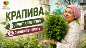 СЕКРЕТ МАЙСКОЙ КРАПИВЫ - МОЩНЫЙ ЗАРЯД ЭНЕРГИИ и ЗДОРОВЬЯ!
