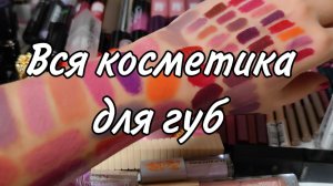 Вся косметика для губ | Считаем запасы
