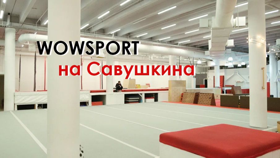 WowSport в центре на Савушкина смотреть онлайн