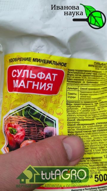 🤫 Как вырастить СМОРОДИНУ размером с вишню! 🍒✨ 😱 Подкормка для смородины: ягоды будут сладкие! 🍯
