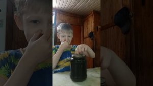Делаю вирус (день 8) это пипец