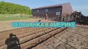 Сельчанка в Америке ПРИШЛО ВРЕМЯ САЖАТЬ ОГОРОД