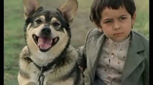 «Мужики!..» (1982)  Вот и скажи: животное, собака. А сколько в нем верности, а?