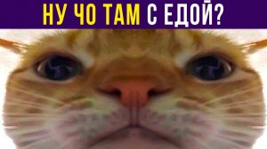 Алё, ну чо там с едой?) Приколы