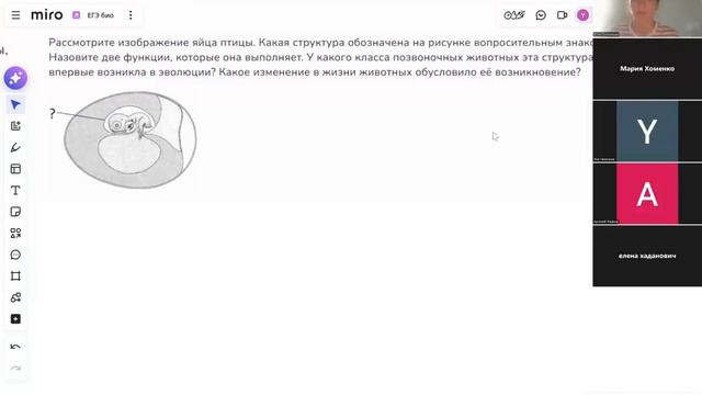 Зародышевые оболочки - теория и задания смотреть онлайн