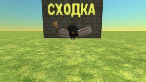 сходка начинается