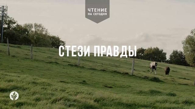СТЕЗИ ПРАВДЫ  | АУДИО |	6	  июня 2026