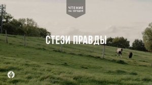 СТЕЗИ ПРАВДЫ  | АУДИО |	6	  июня 2026