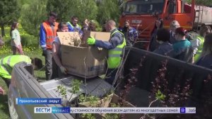 В парке национальных культур села Большая Талда высадили новые деревья