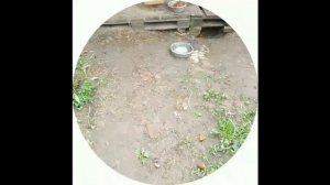 Анти@куча...Дмитрий Зонов_,,Семья сегодня.Как у них дела?,,