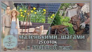 🏡Муж при деле | Обзор участка | Мои посадки и планы на сезон #25