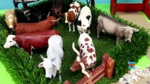 Учим домашних животных на ферме 🚜 Коровы, овцы и лошадки для детей