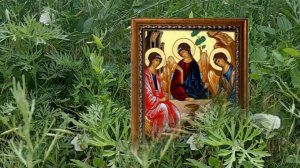 31 мая день Пресвятой Троицы. Соберите букет из семи трав и скажите...