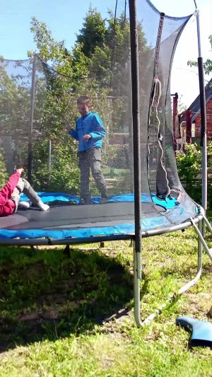 смешные видео